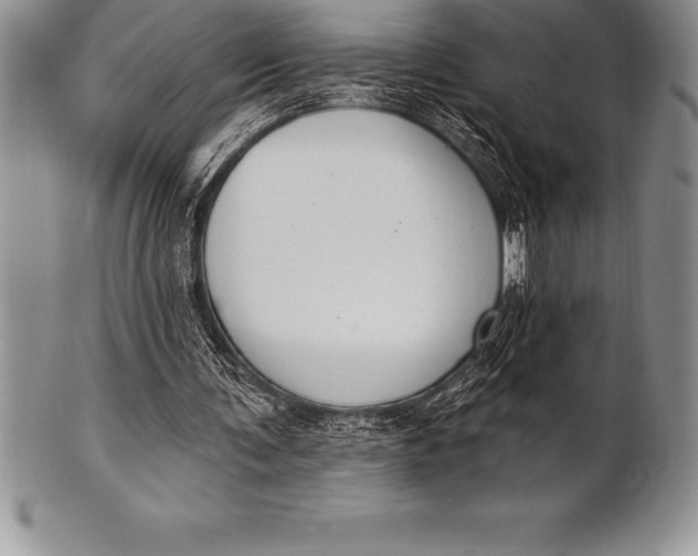 X0000100410291200806201805