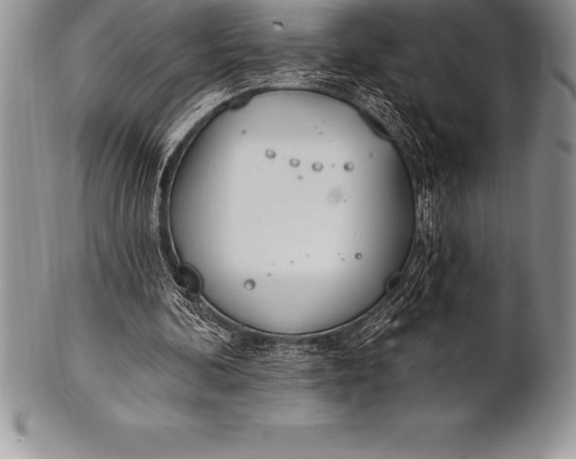 X0000100410292200806201805