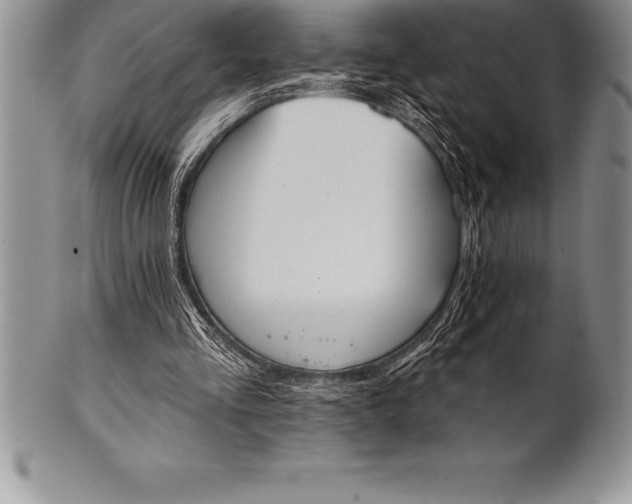 X0000100410293200806201805