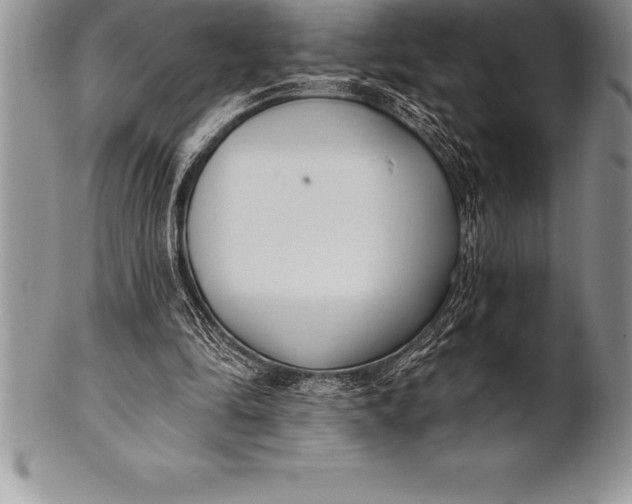 X0000100410294200806201805