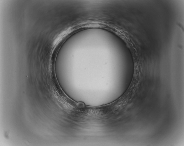 X0000100410296200806201805