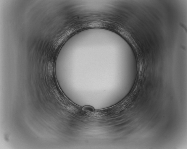 X0000100410297200806201805