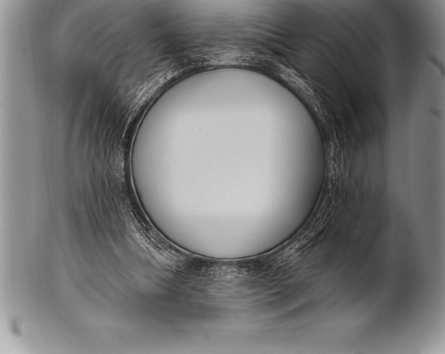 X0000100410298200806201805