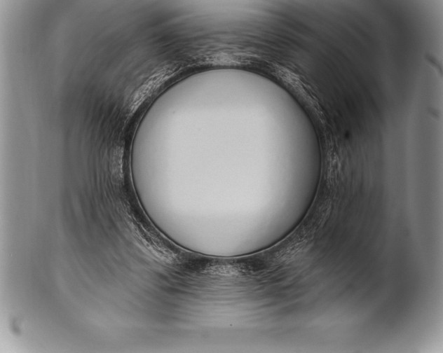 X0000100410299200806201805