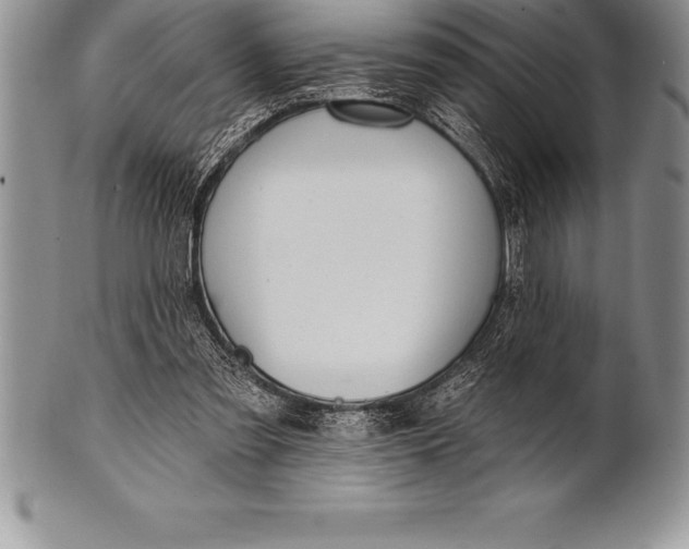 X0000100410301200806201805