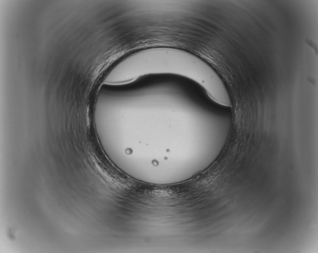 X0000100410302200806201805