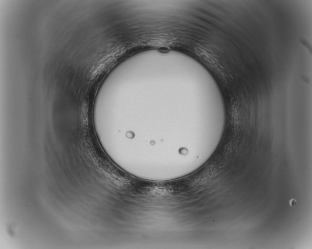 X0000100410303200806201805