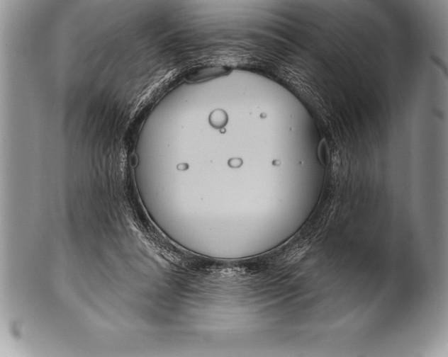 X0000100410304200806201805