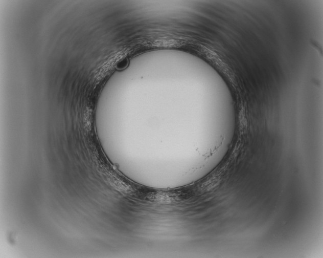 X0000100410305200806201805