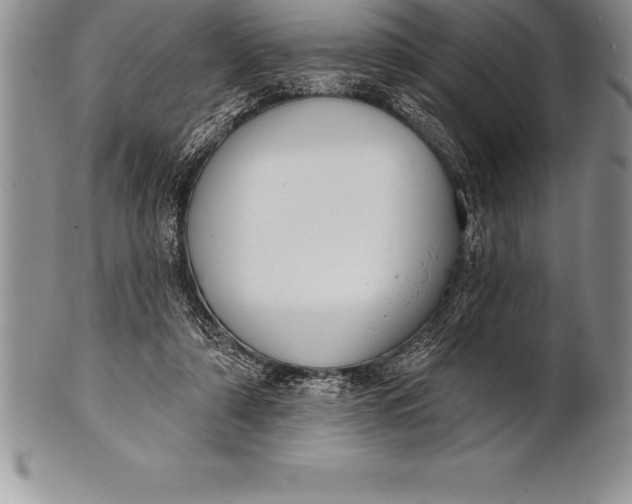 X0000100410306200806201805