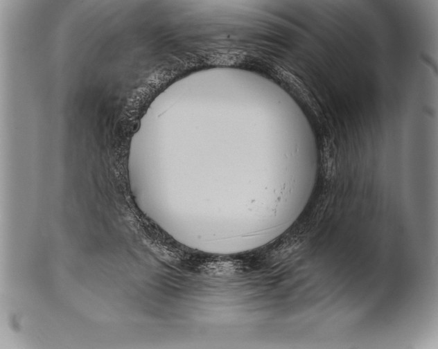 X0000100410307200806201805