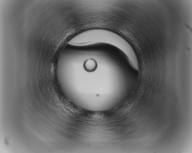 X0000100410308200806201805