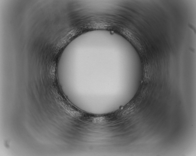 X0000100410309200806201805