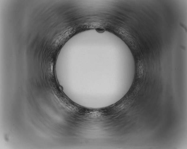 X0000100410310200806201805