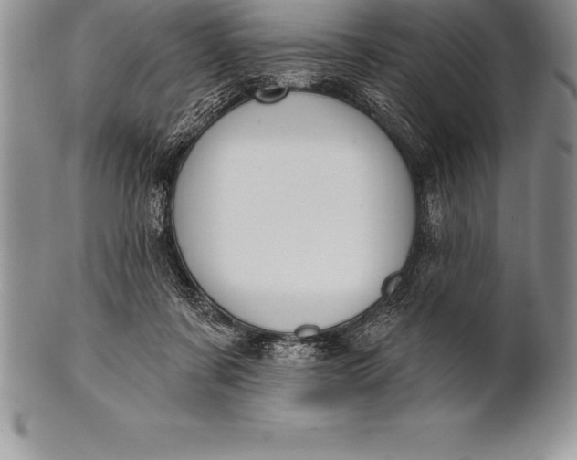 X0000100410311200806201805