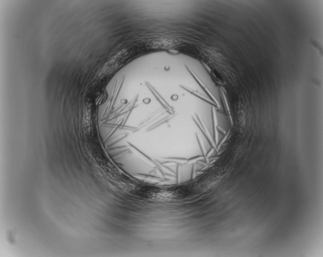 X0000100410312200806201805