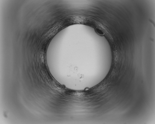 X0000100410313200806201805