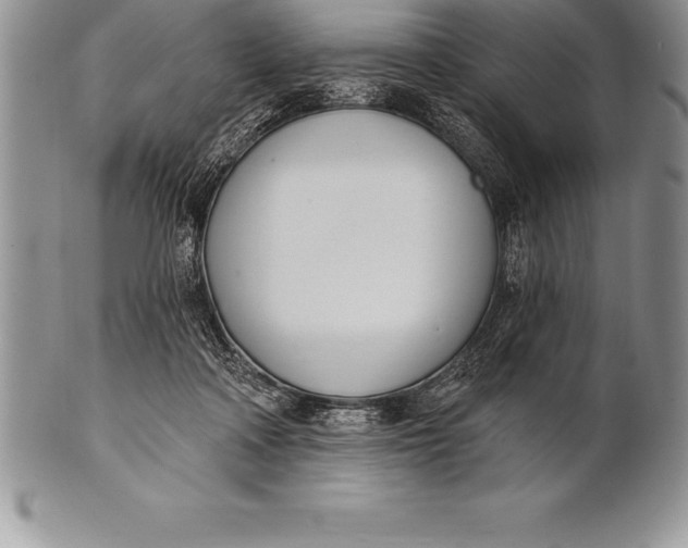 X0000100410314200806201805