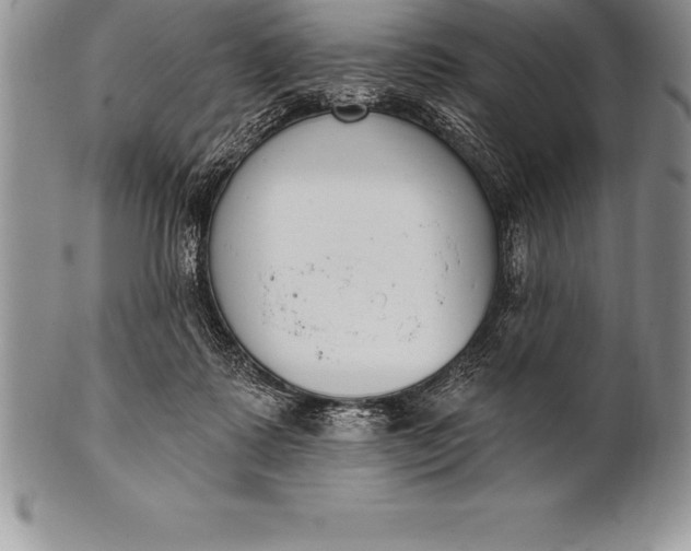 X0000100410315200806201805