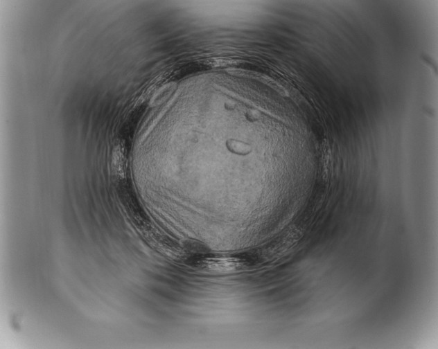 X0000100410316200806201805