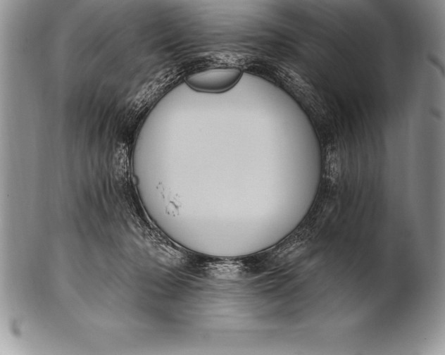 X0000100410318200806201805