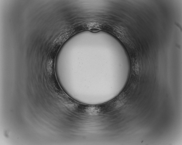 X0000100410319200806201805