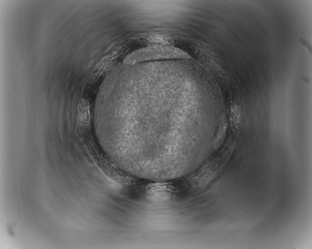 X0000100410320200806201805