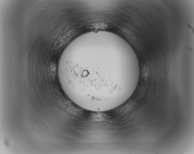 X0000100410321200806201805