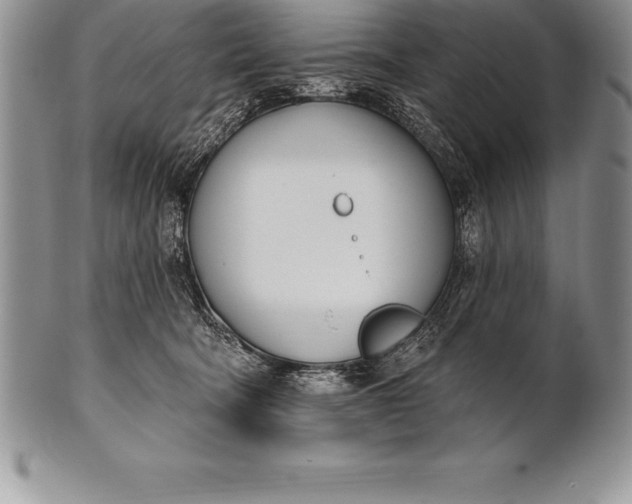 X0000100410322200806201805