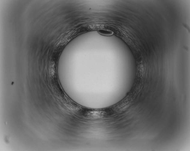 X0000100410323200806201805