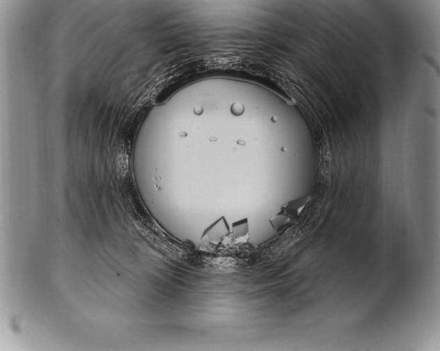 X0000100410324200806201805