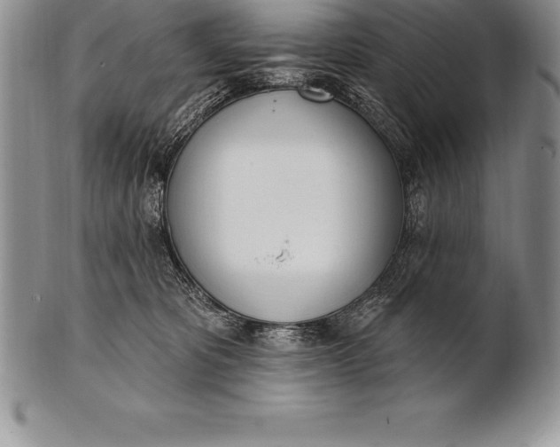 X0000100410325200806201805