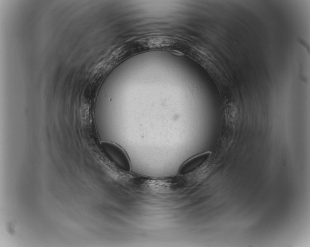 X0000100410327200806201805