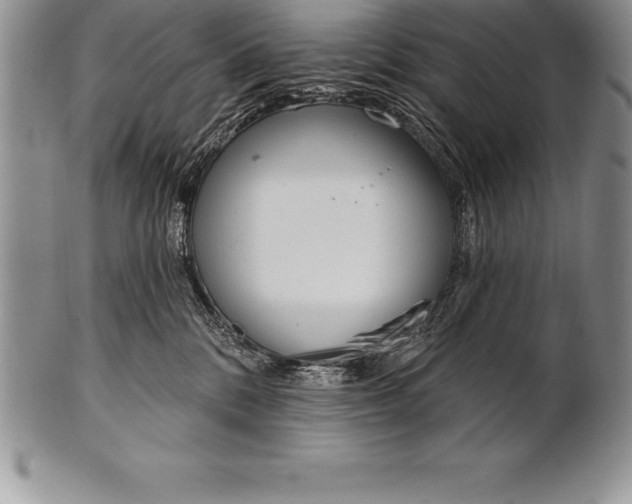 X0000100410328200806201805