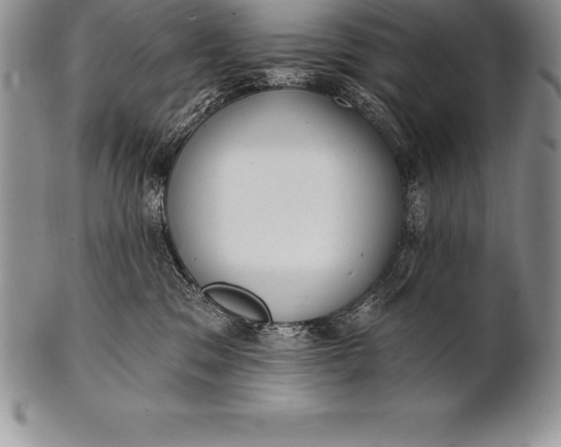 X0000100410329200806201805