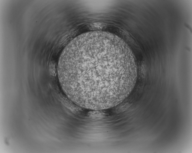 X0000100410331200806201805