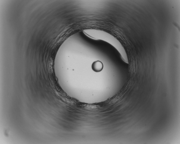 X0000100410332200806201805