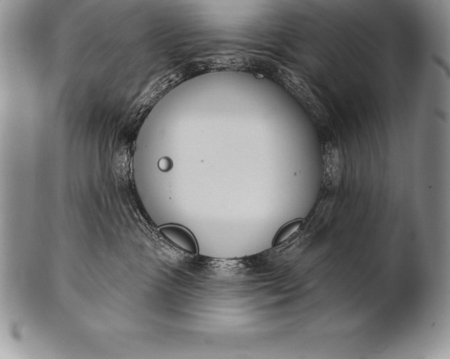 X0000100410333200806201805