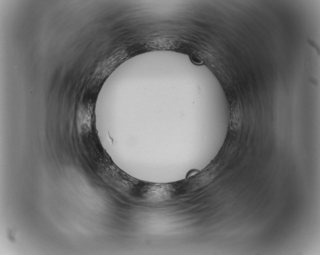 X0000100410334200806201805