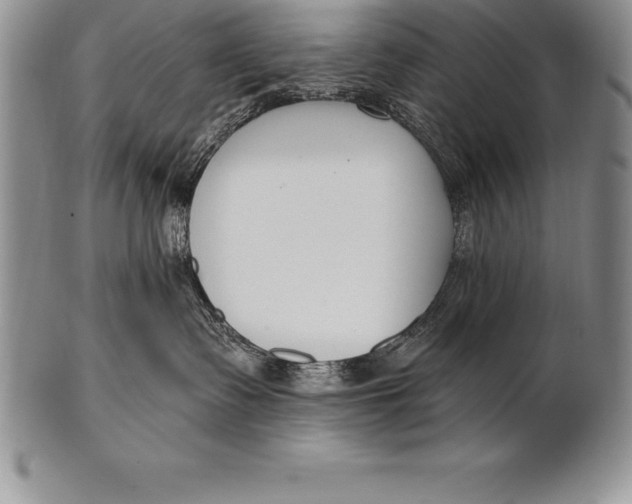 X0000100410335200806201805