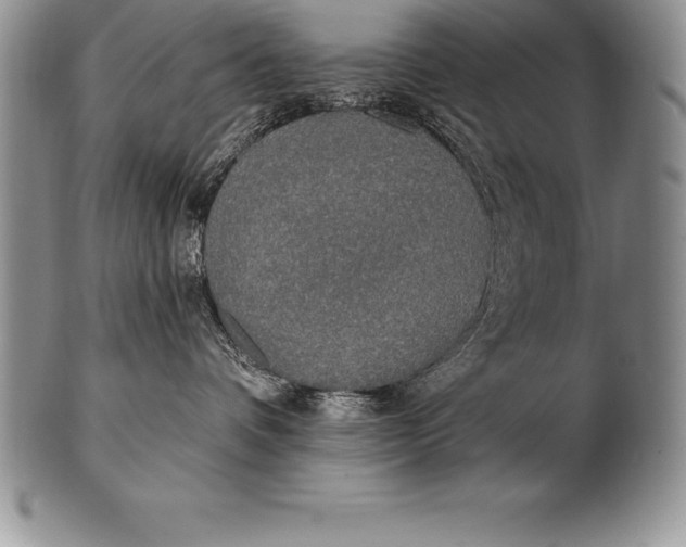 X0000100410336200806201805