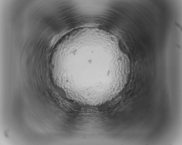 X0000100410337200806201804