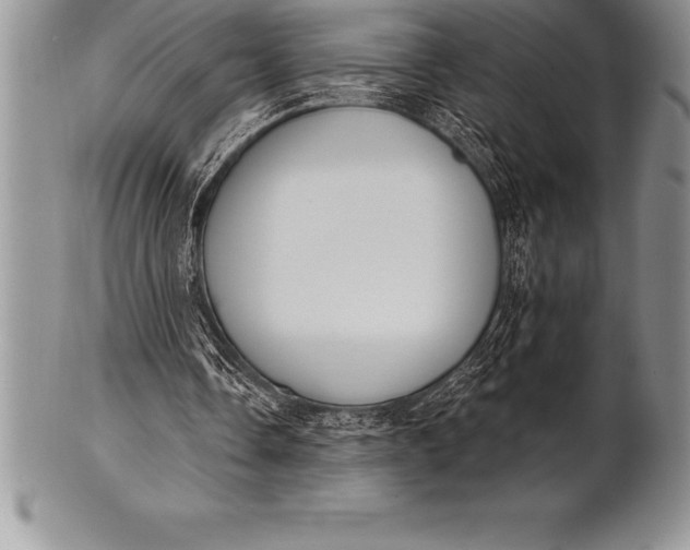 X0000100410338200806201804