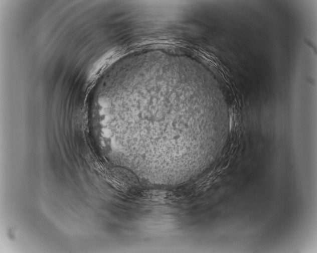 X0000100410339200806201804