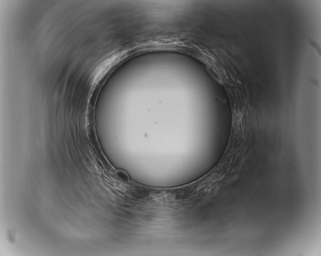 X0000100410340200806201804