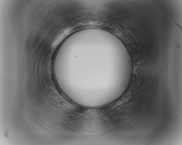 X0000100410341200806201804