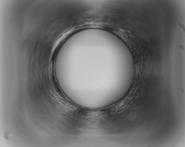 X0000100410342200806201804