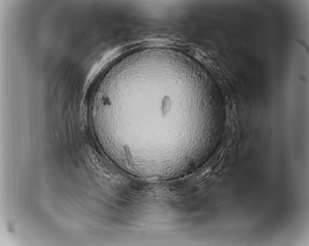 X0000100410343200806201804