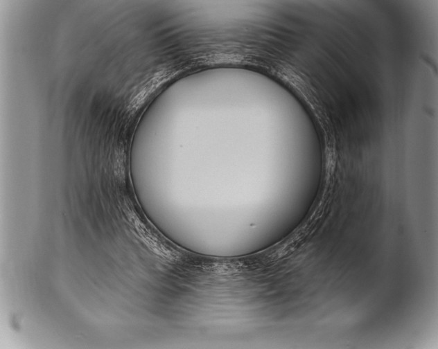 X0000100410345200806201804