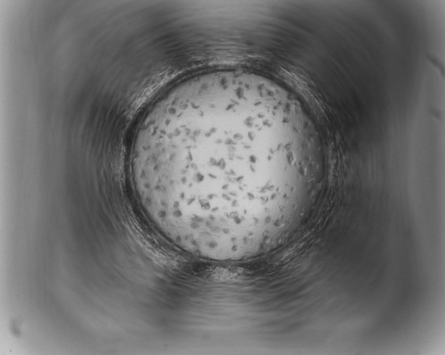 X0000100410346200806201804